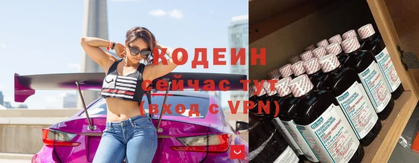 стаф Михайловск
