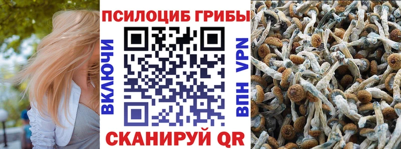Псилоцибиновые грибы Psilocybe  продажа наркотиков  Фокино 