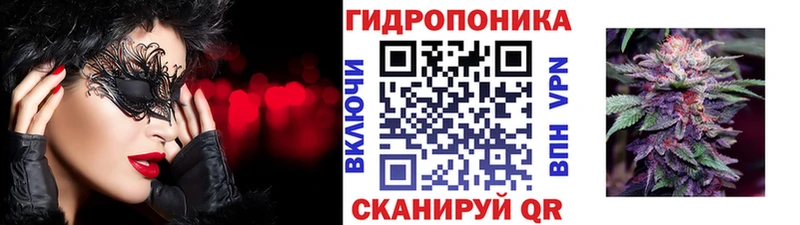 Шишки марихуана конопля  Фокино 